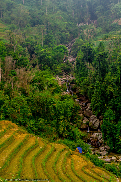 Ha Giang - A la découverte du Vietnam hors des sentiers battus avec l'agence "Vietnam Autrement"