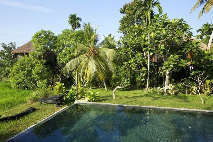 Huma Terra Green Lodge - Hikkaduwa, Sri Lanka