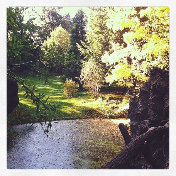 Jardin anglais - Jardin Albert Kahn