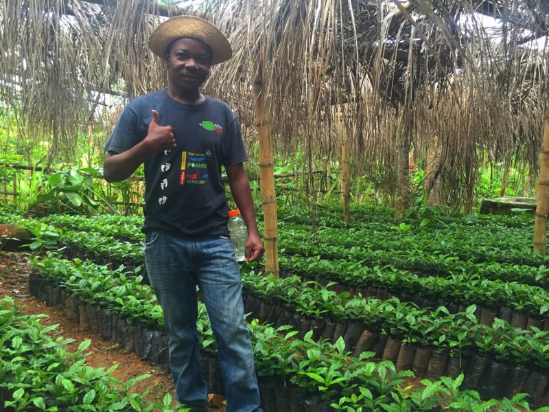 Jean-Rony dans le germoir - Sur la route du café en Haïti, au coeur de la communauté de Fonds Jean-Noël