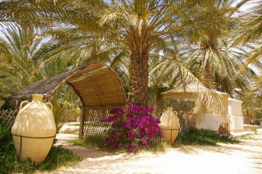 Ksour et dunes du Grand Erg