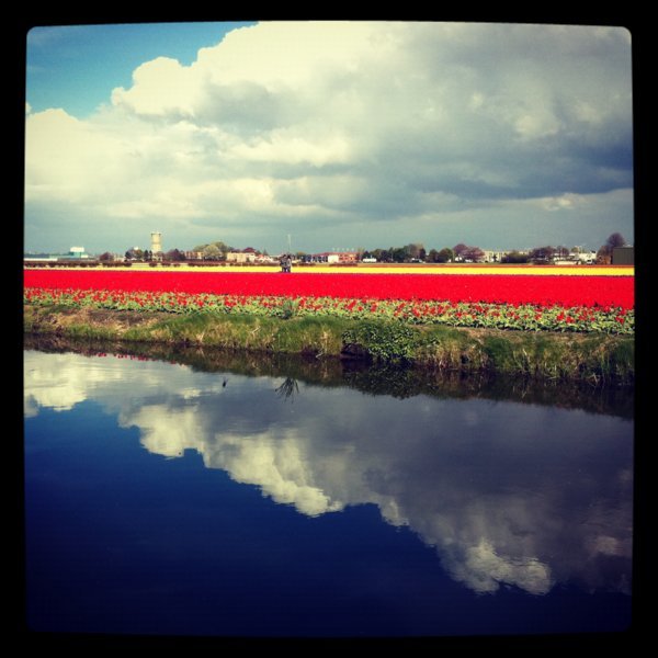 L'eau, la flore et les cieux forment un décor flamboyant, Parc du Keukenhof - Lisse, Pays-Bas