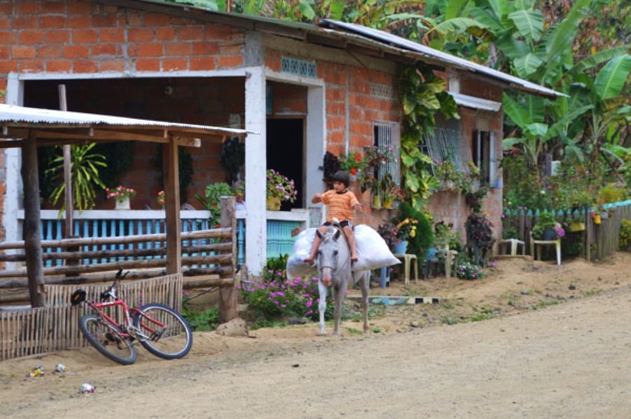 L'Équateur avec l'agence locale Narwell Écotours