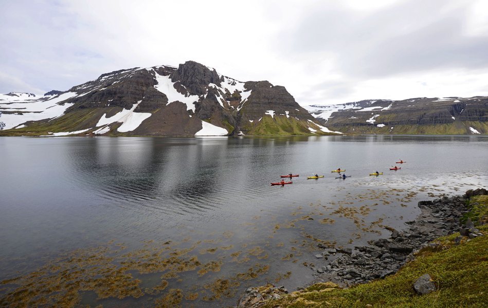 L'Islande en kayak, un moyen doux et discret pour s'immerger en pleine nature et approcher la faune et la flore au plus près