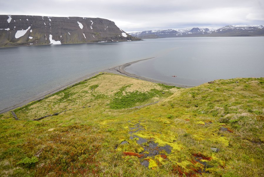 L'Islande en kayak, un moyen doux et discret pour s'immerger en pleine nature et approcher la faune et la flore au plus près