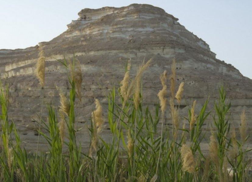 L'oasis de Siwa
