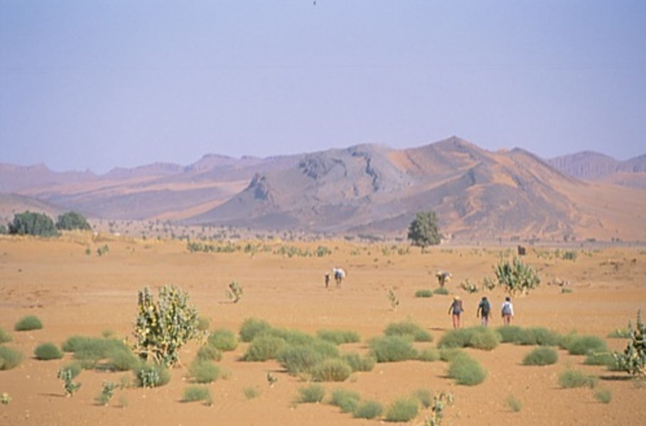 La croix du sud