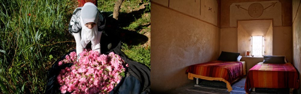 La kasbah se partage entre l'accueil de voyageurs et la récolte de la précieuse fleur