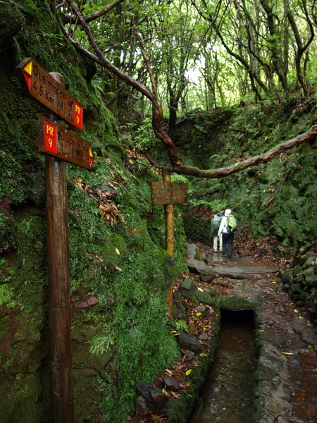 La levada qui mène au Chaudron Vert (Caldeirão Verde)