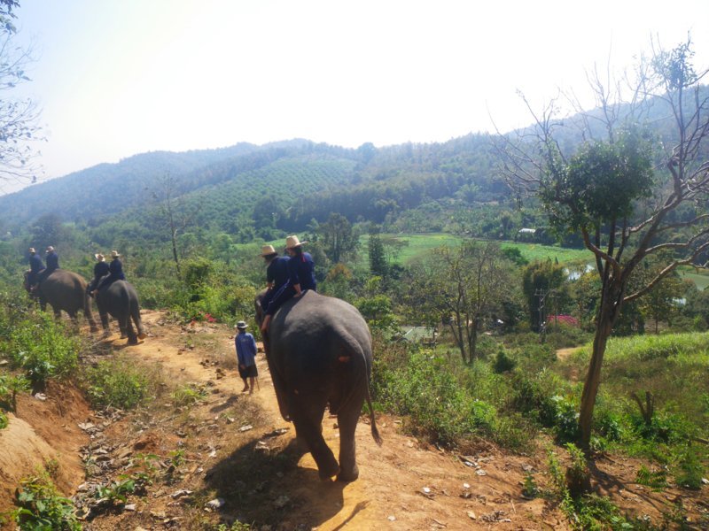 La magnifique vue sur les collines des environs de Chiang Mai pendant votre trek d'éléphant