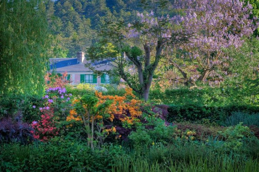 La maison nichée dans la végétation