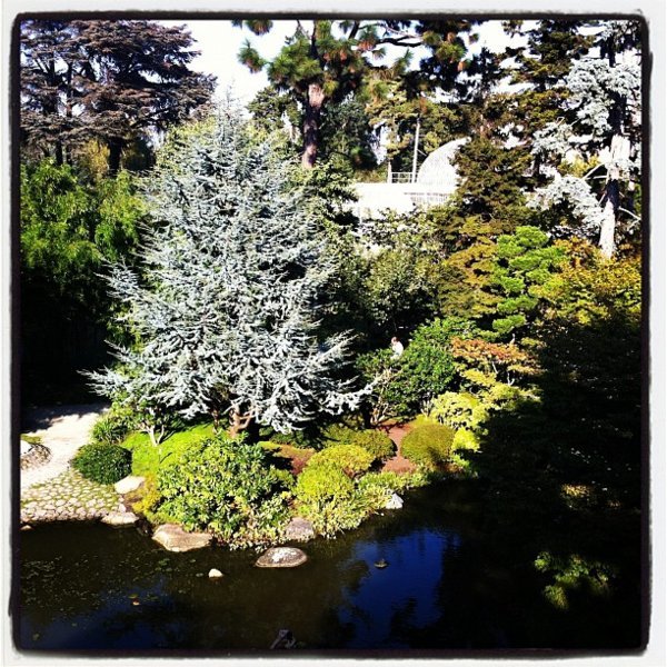 La pièce d'eau du jardin contemporain japonais dans les jardins Albert Kahn