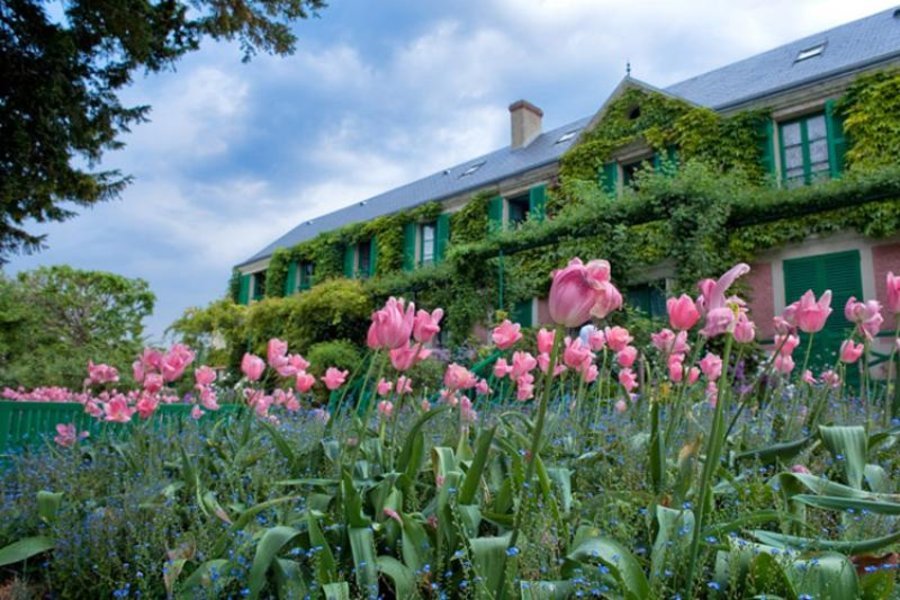 La saison des tulipes