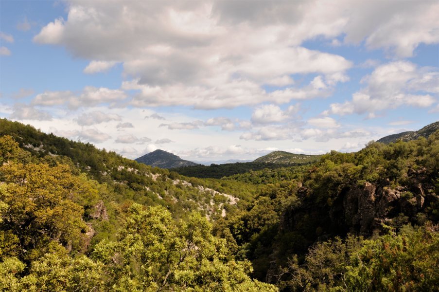 La Sardaigne entre côtes et montagnes