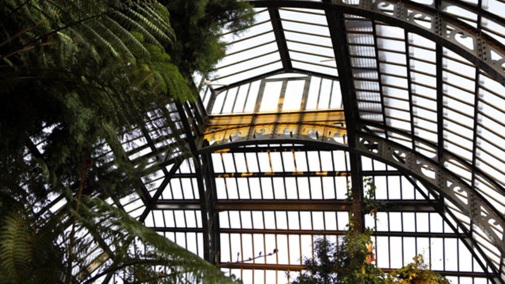 La voûte de métal et de verre des Grandes Serres du Jardin des Plantes de Paris