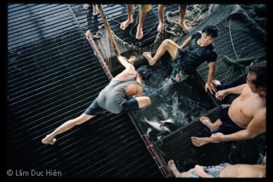 Lâm Duc Hiên, exposée lors de "Passion Indochine" au Parc Floral de Paris