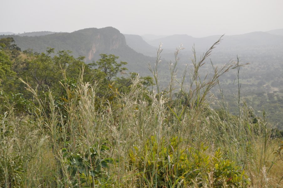Le Bénin par l'ONG Eco-Bénin