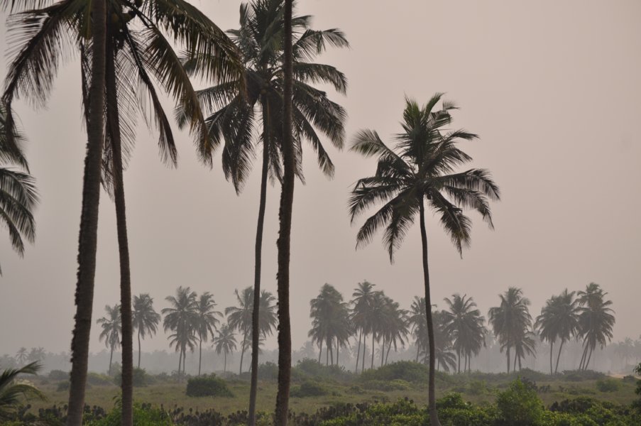 Le Bénin par l'ONG Eco-Bénin
