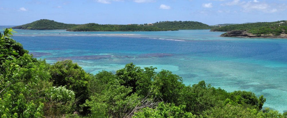 Le bleu et le vert, deux couleurs dominantes en Martinique