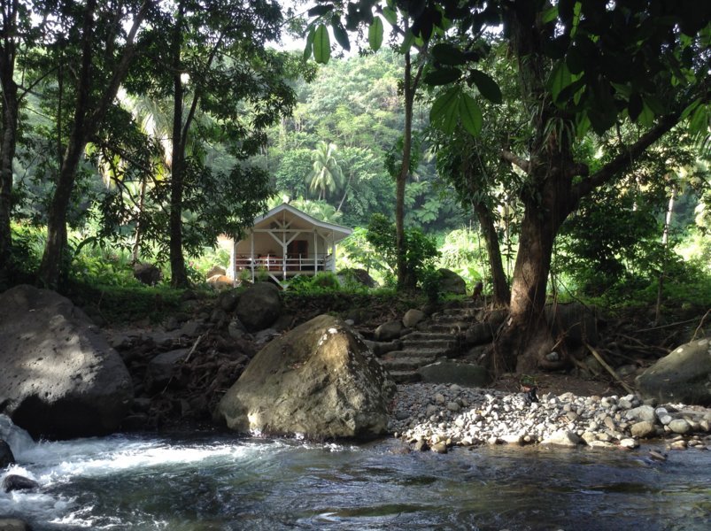 Le Citrus Creek Plantation : se sentir comme à la maison au coeur de la Dominique