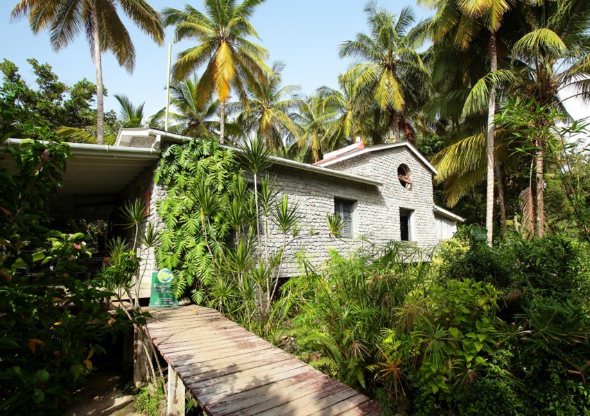 Le Citrus Creek Plantation : se sentir comme à la maison au coeur de la Dominique