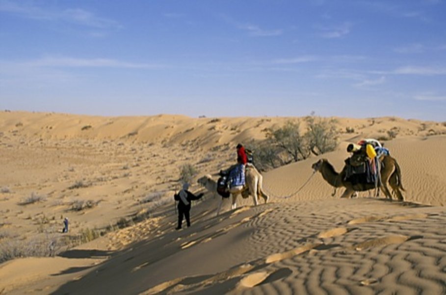 Le grand sud tunisien