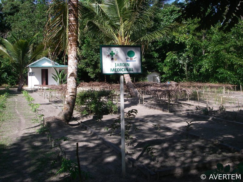 Le jardin médicinal pédagogique dans la forêt de Tampolo à Madagascar
