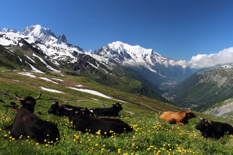 Le massif du Mont-Blanc dans les Alpes et la vallée de Chamonix