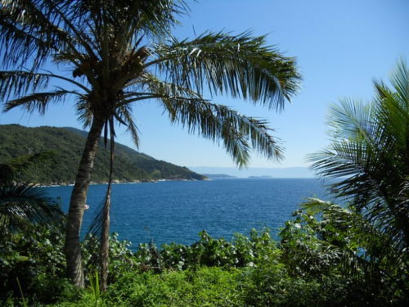 Le Paradis vert