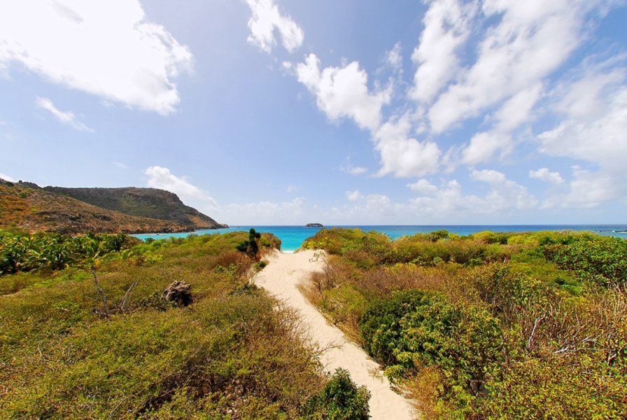 Le sentier qui mène à la plage de Grande Saline - Les plages les plus sauvages de Saint-Barth