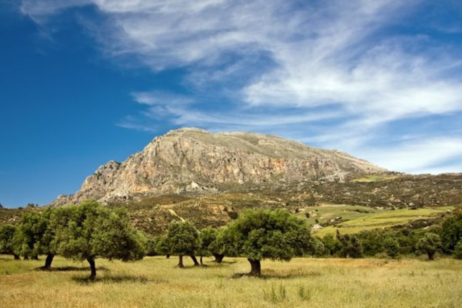 Les blanches montagnes des alentours