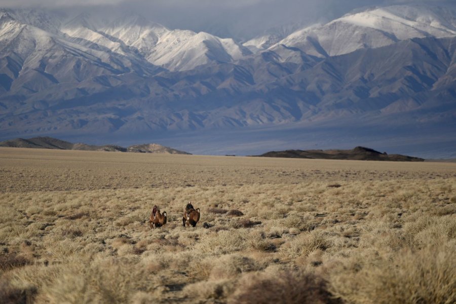 Les montagnes de l'Altaï - "Rendez-vous en terre inconnue" : Mélanie Doutey chez les nomades de Mongolie