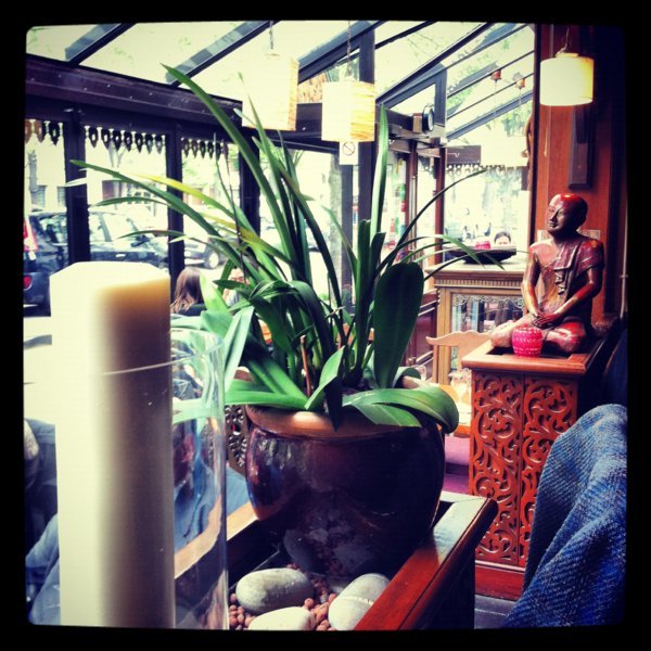 Les plantes vertes se gorgent de la lumière et de la chaleur de la véranda - Restaurant Khun Akorn, Paris