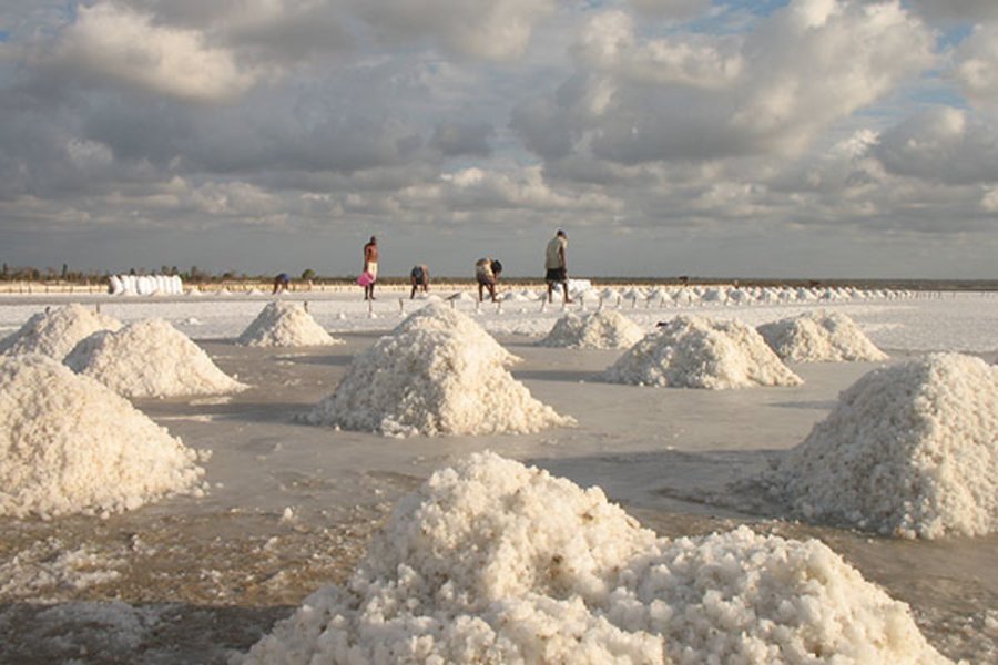 Les salines de Belo sur Mer - Écolodge du Menabe - Belo sur Mer, Madagascar