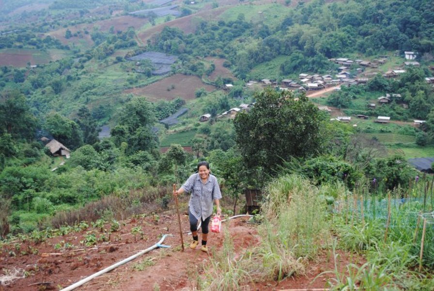 Limeleaf Eco-Lodge - Wiang Pa Pao, Thaïlande