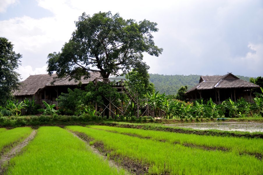 Lisu Lodge