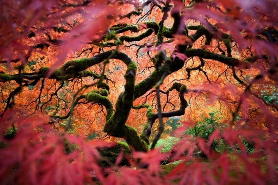 "Looking into an other world", Fred An, Oregon - National Geographic Traveler - Photo Contest 2012