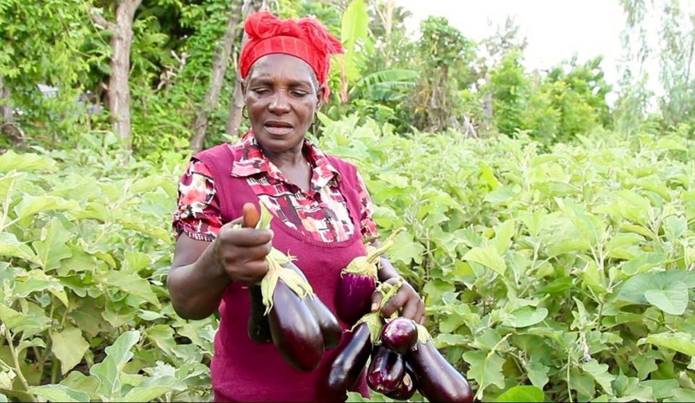 Mouvement Paysan Papaye - Haïti