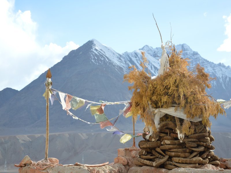 Nimmy House, ma maison sur le toit du monde - Ladakh, Inde