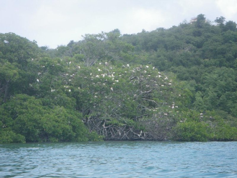 On prend le temps d'observer la faune qui borde la côte