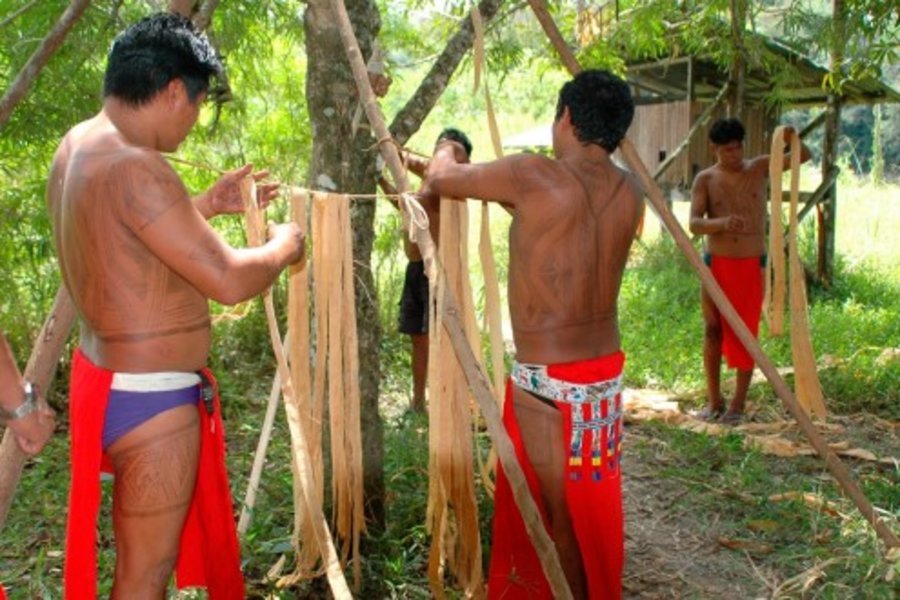 Parc Amazonien de Guyane