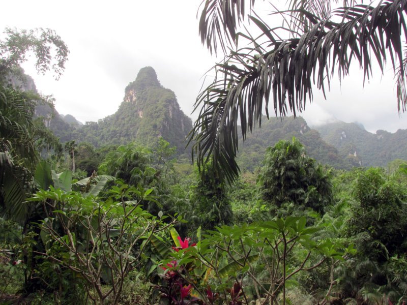 Parc National de Khao Sok - Anurak Community Lodge - Khaok Sok, Thaïlande