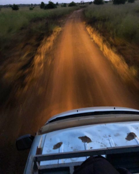 Parc National de la Pendjari - Bénin 