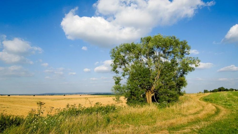 Parc Naturel Régional du Vexin