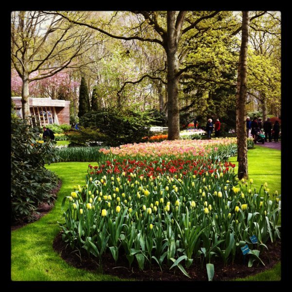 Parterre de tulipes, Parc du Keukenhof - Lisse, Pays-Bas