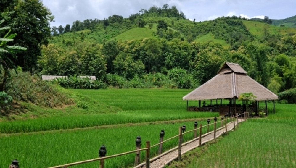 Paysage de rizières au Kamu Lodge, Laos