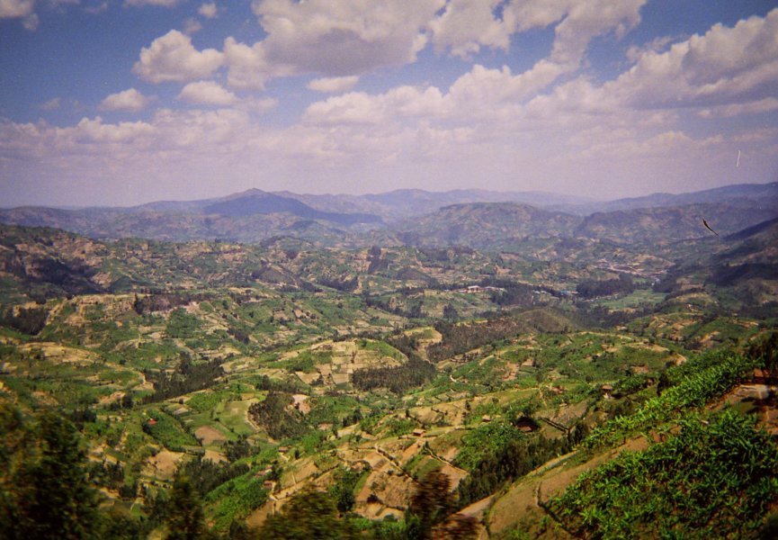 Paysage Rwanda