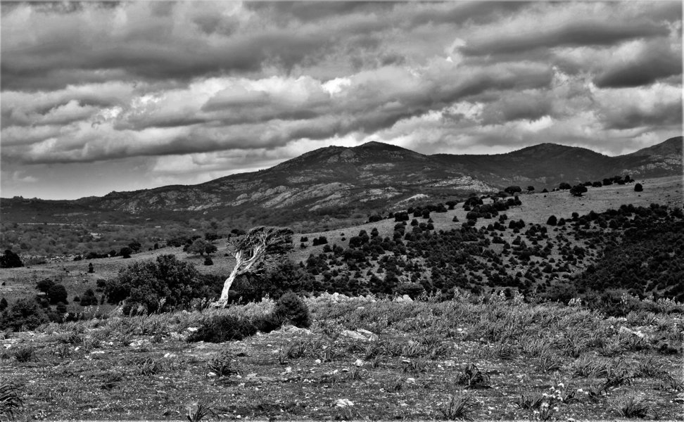 Paysage Sardaigne