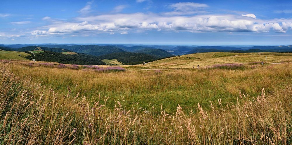 Paysages Vosges