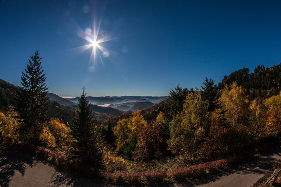 Paysages Vosges